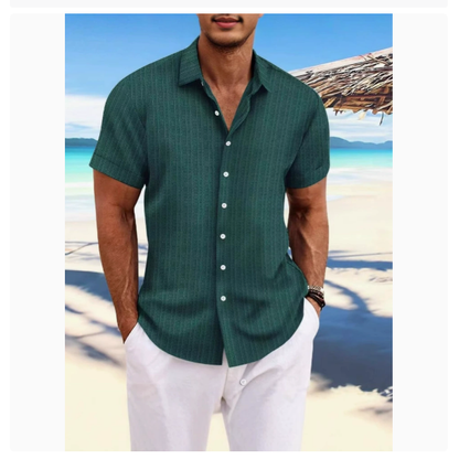 Homme Chemise Manches Courtes à Rayures Verticales et Col Classique